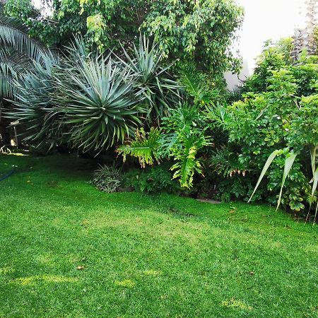 Apartament Mulberry Gardens Self Catering Swakopmund Zewnętrze zdjęcie